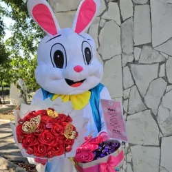 Big Bunny
