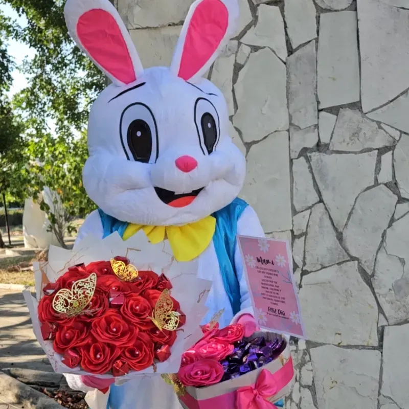 Big Bunny