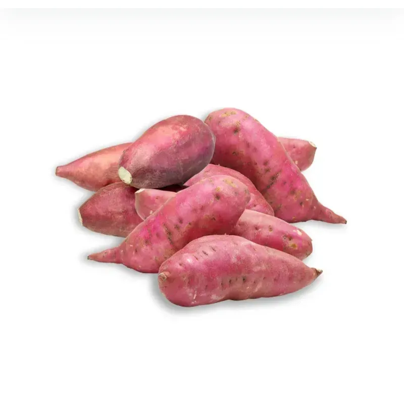 Boniato (5lbs)