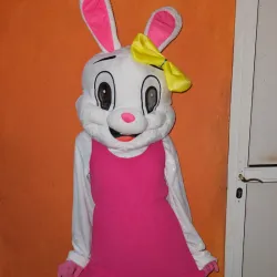 Conejita Cindy