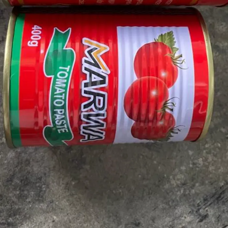 Pasta de tomate 400g