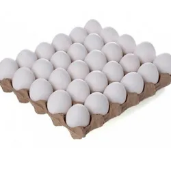 Huevos