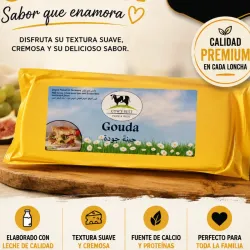 BLOQUE DE QUESO GOUDA ALEMÁN (3kg)