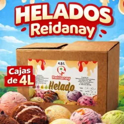 Caja de helado REIDANAY (4L)