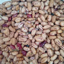 FRIJOLES COLORADOS ( 5 lb ) 