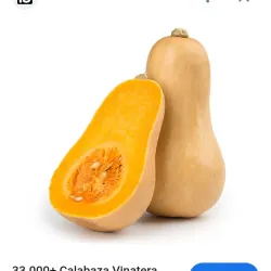 Calabaza