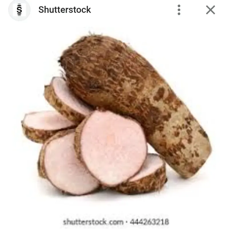 Malanga 