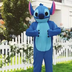 Stich