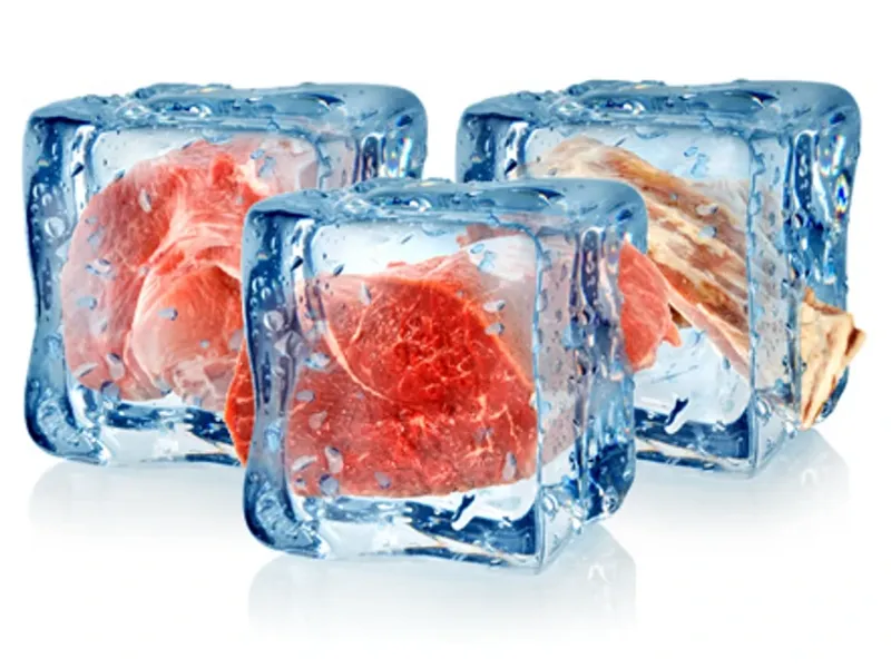 Congelados