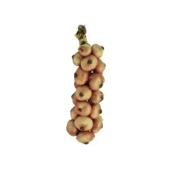 Pata de Cebollas 20u