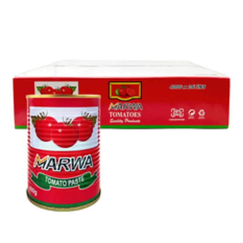 Pasta de Tomate