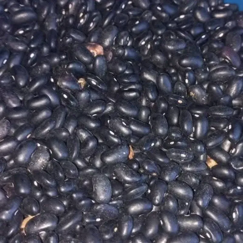 Frijol Negro 