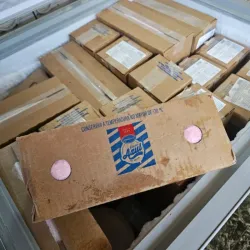 Helado Nestlé 