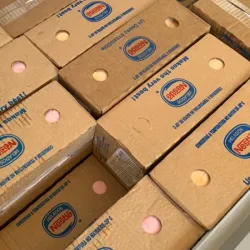 Helado Nestlé 