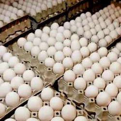 Huevos Nacionales 