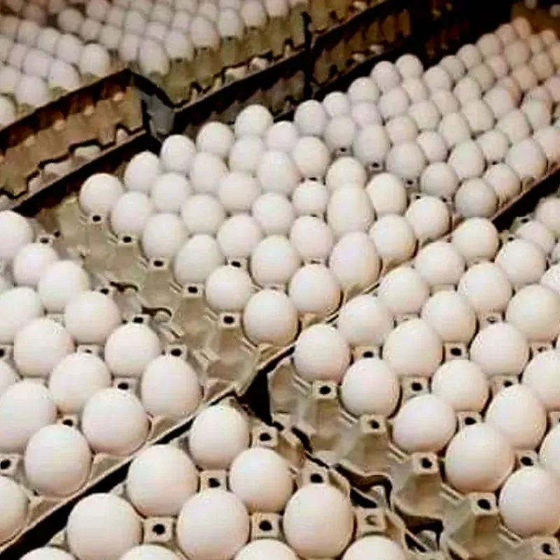 Huevos Nacionales 