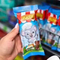 Koala Cake de Chocolate 