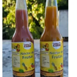 Nectar de Frutas Naturales 