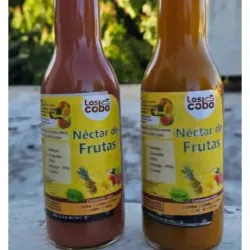 Nectar de Frutas Naturales 