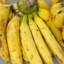 Plátano Vianda Maduro(Plátano)