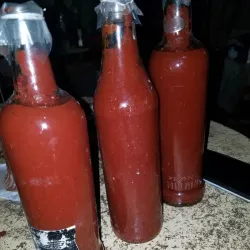Puré de Tomate 