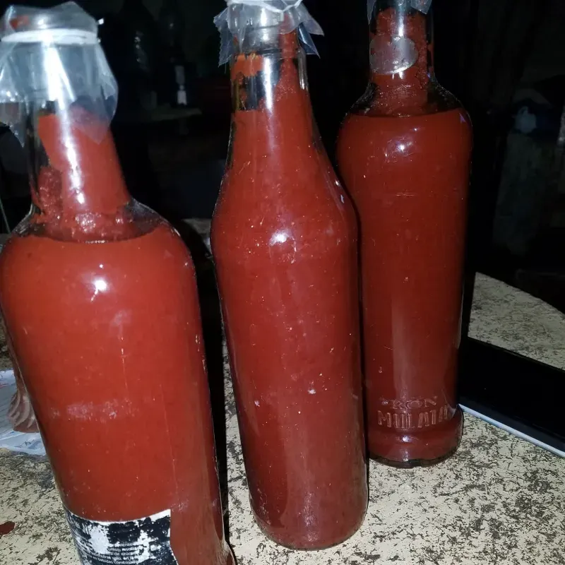 Puré de Tomate 