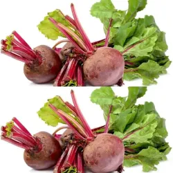 Remolacha 