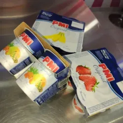 Yogurt Natural Saborizado