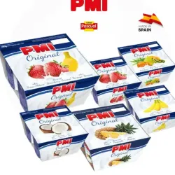 Yogurt Natural Saborizado