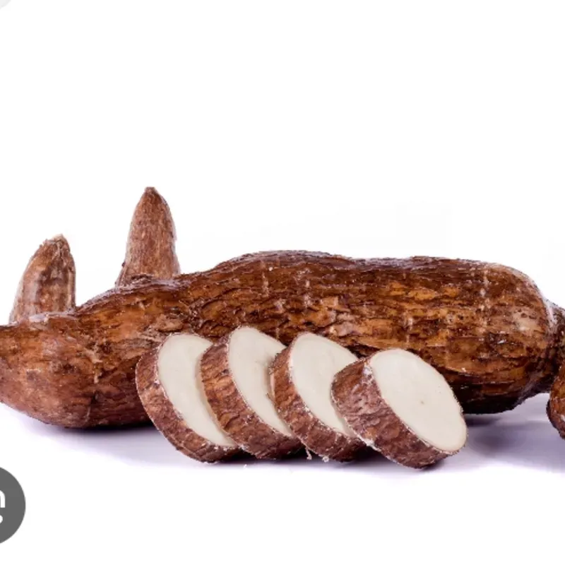 Yuca 