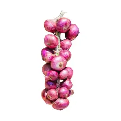 Cebolla Morada