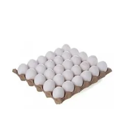 Carton de Huevos 