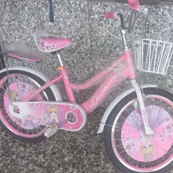 Bicicleta de Niña
