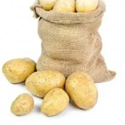 Papas