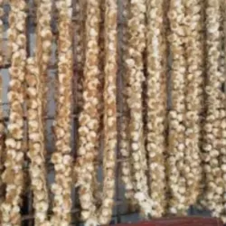 Ristra de ajo