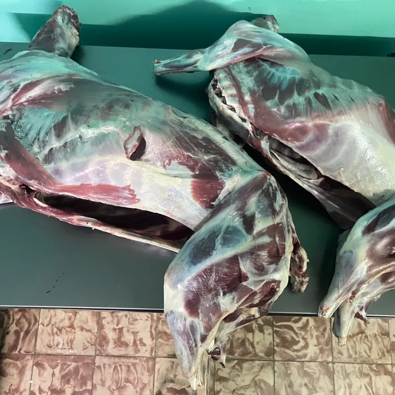 Ovejo entero limpio 18-20 lb 