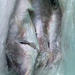 Paquete de pescados 6.20 lb