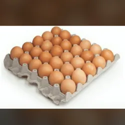 Huevos