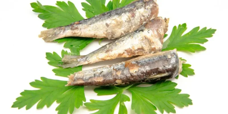 SARDINAS EN ACEITE VEGETAL 113 GR 1001400