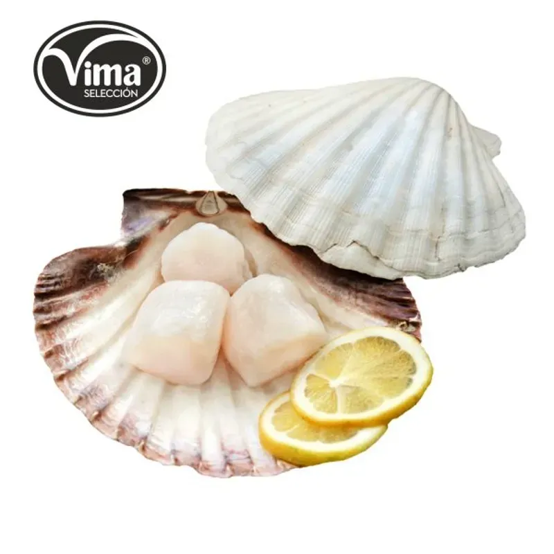 VIEIRA 1/2 CONCHA GOURMET BOLSAS 50X120 GR 1000375