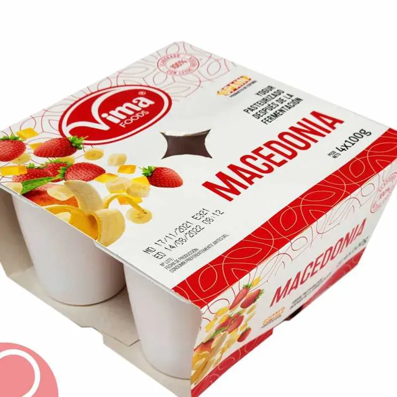 YOGOURT MACEDONIA (SIN FRIO) 100 GR C/ 48U 1001771