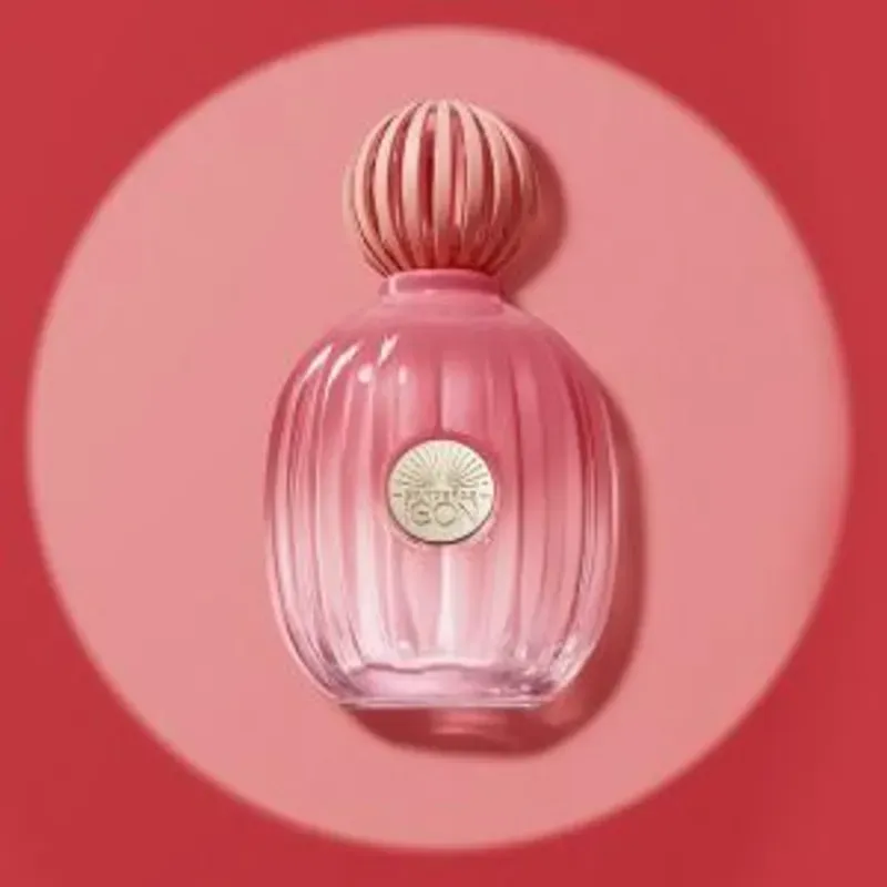 THE ICON SPLENDID WOMAN