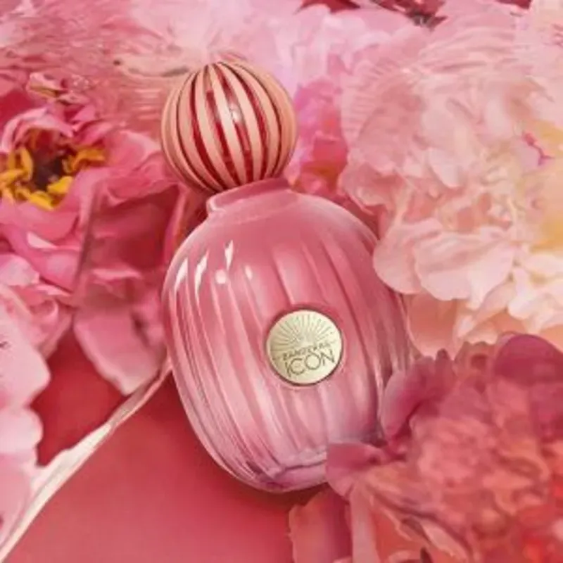 THE ICON SPLENDID WOMAN