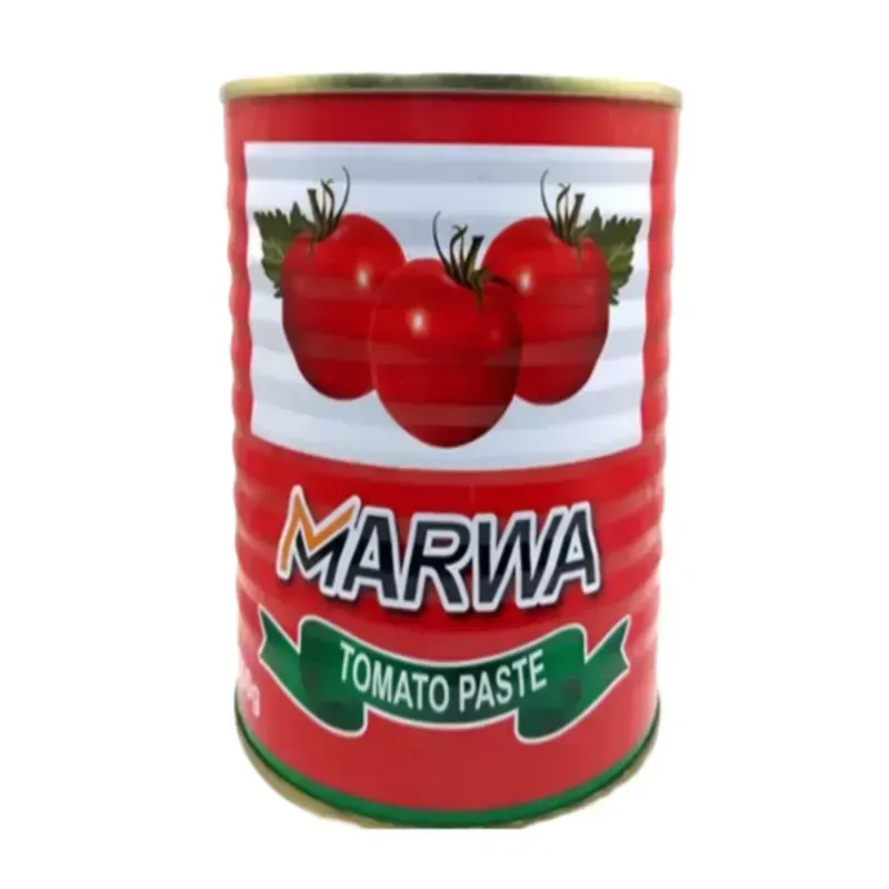 Pasta de tomate 340g