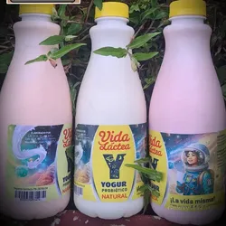 Yogurt Probiótico