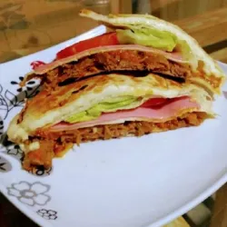 Sandwich Ingenio 