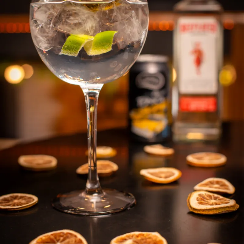 Gin Tonic 