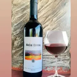 MASIA CONDAL
