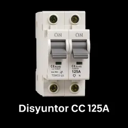 Disyuntor CC 125A