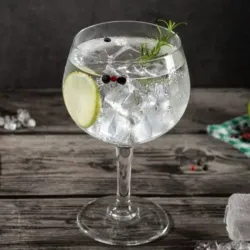 Gin Tonic